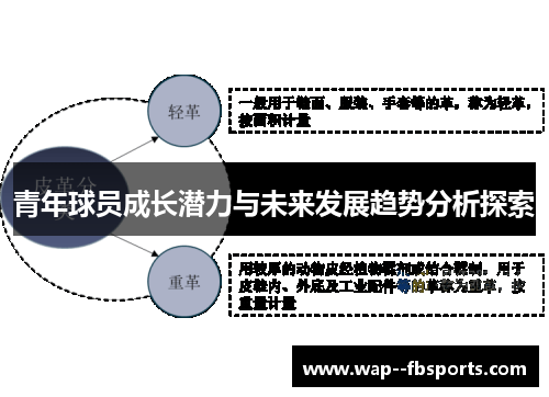 青年球员成长潜力与未来发展趋势分析探索 青年球员成长潜力与未来发展趋势分析探索