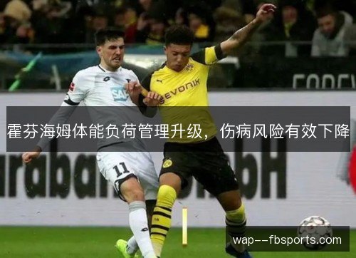 霍芬海姆体能负荷管理升级,伤病风险有效下降 霍芬海姆体能负荷管理升级,伤病风险有效下降